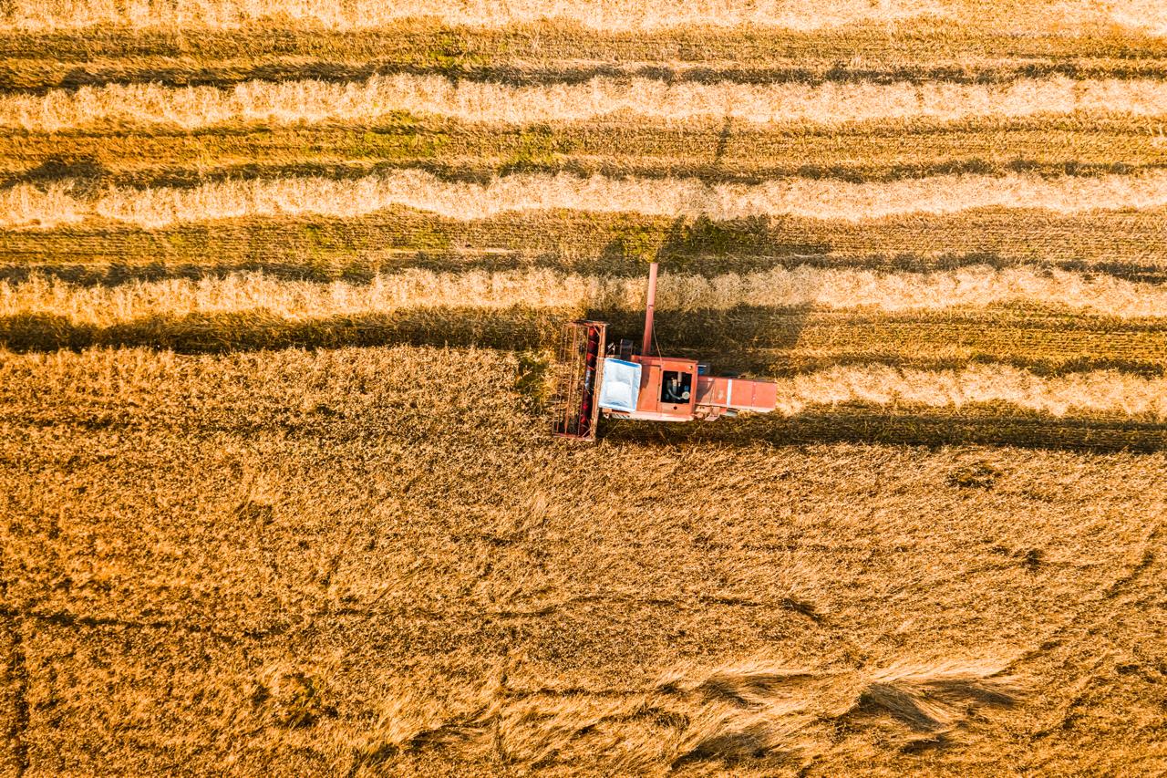 bulk wheat import operations